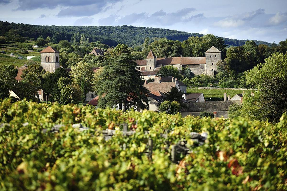 Le Richebourg - Charmant T2 Cosy, Tout Confort ジュヴ・シャンベルタン エクステリア 写真