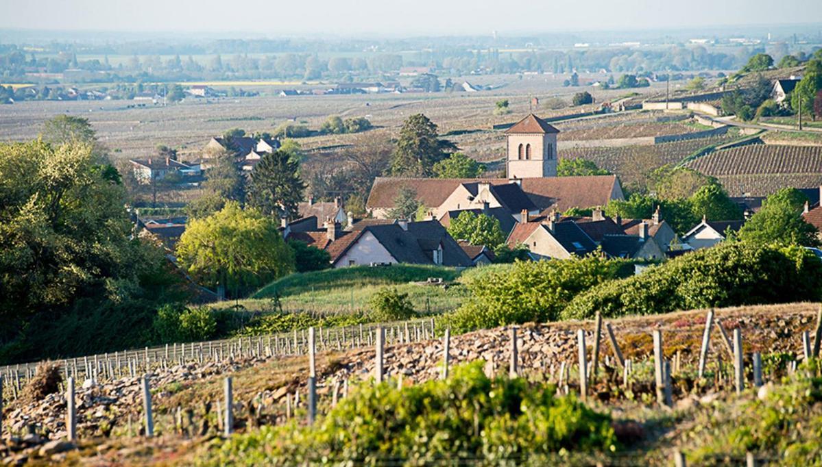 Le Richebourg - Charmant T2 Cosy, Tout Confort ジュヴ・シャンベルタン エクステリア 写真